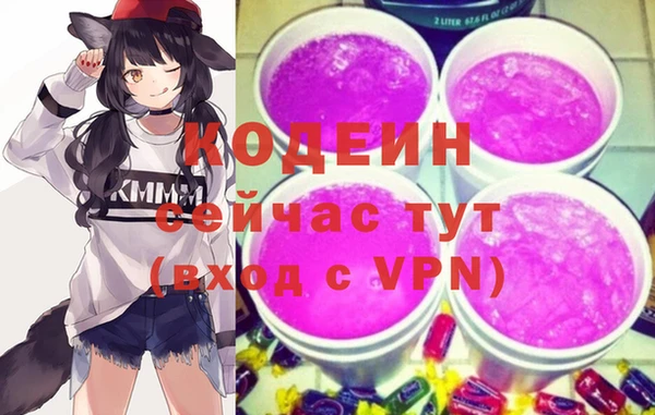гашик Михайлов