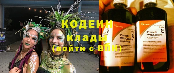 гидра Надым