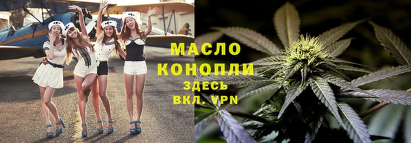 гашик Михайлов