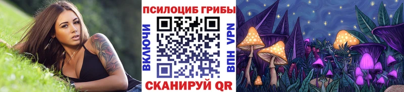 Купить Сосногорск Галлюциногенные грибы Psilocybine cubensis